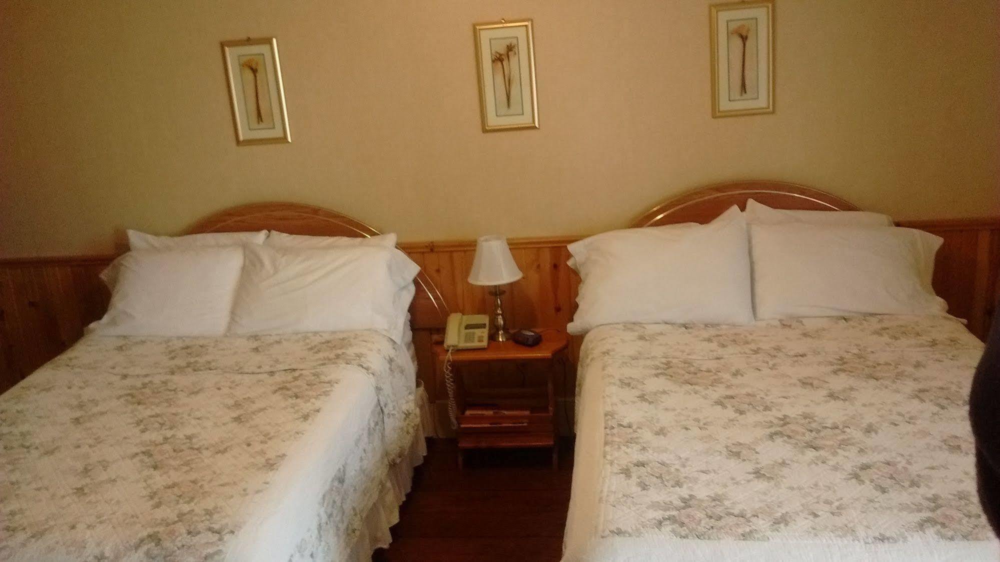 Mackenzie Motel & Cottages Shelburne Extérieur photo